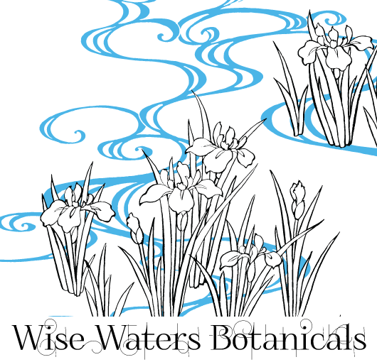 WiseWaters-logo2016