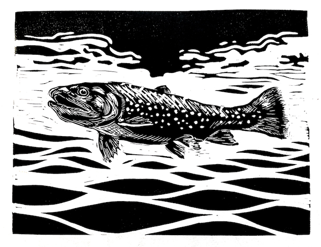 Black and white relief print image of a brook trout.