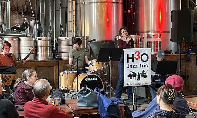 Sandbar Storytelling Festival presenter Regi Carpenter performs with H3O at the October Jazz Jam.