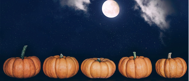 Image of full moon and pumpkins.
