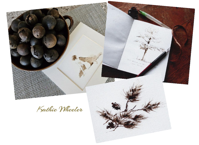 Photo of walnuts and walnut ink images by Kathie Wheeler.