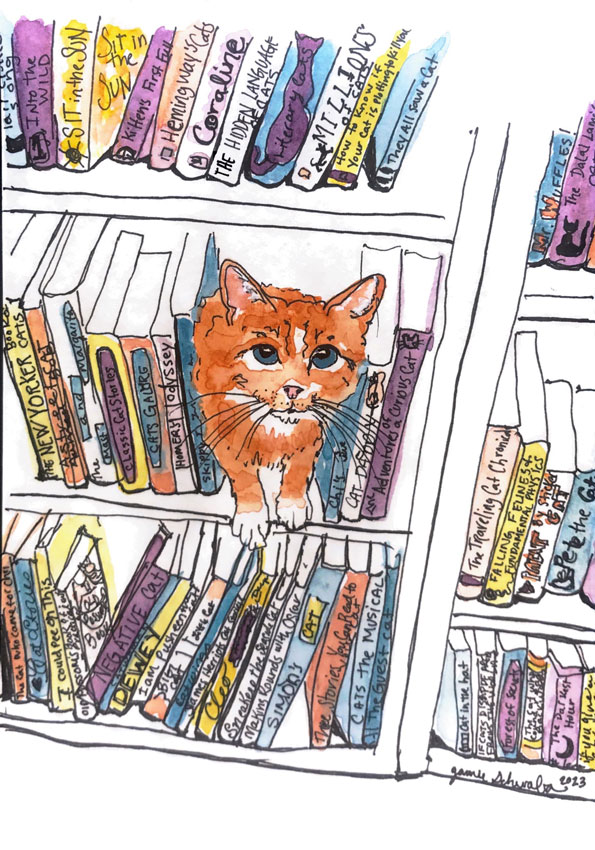 0-top-center-bookshelf-with-cat3