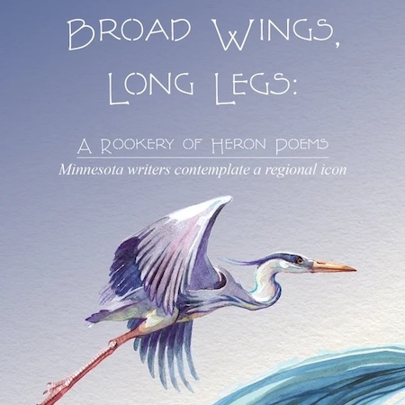 Partial book cover image of Broad Wings, Long Legs: A Rookery of Heron Poems.