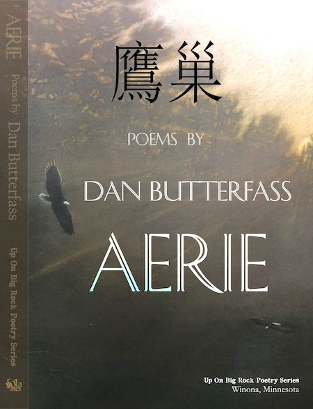 Book cover of Aerie by Dan Butterfass.