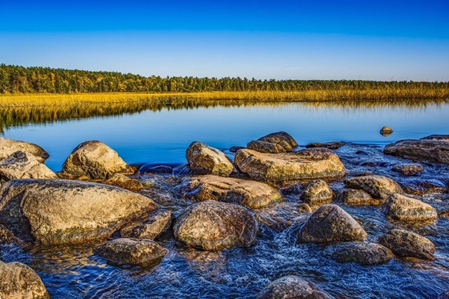 Photograph by Pete Mutschler entitled The Source, showing the headwaters of the Mississippi River.