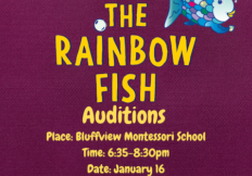 Flyer for The Rainbow Fish auditions.