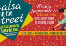 Banner graphic for Salsa in the Street.