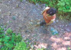 Image from above of Sharon Mansur walking on a trail; still from video by Sydney Swanson.