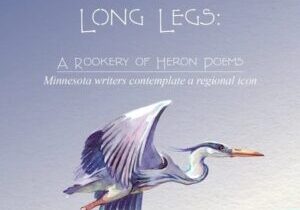 Partial book cover image of Broad Wings, Long Legs: A Rookery of Heron Poems.