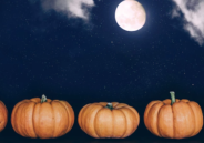 Image of full moon and pumpkins.