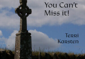 Book cover of Ireland: You Can't Miss It! by Terri Karsten.