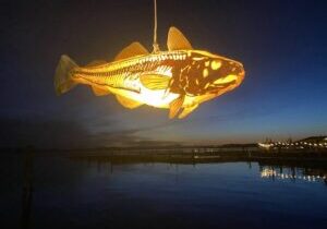 Photo of a glowing fish lantern by artist Kristian Brevik.