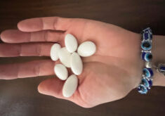 Photo of hand holding several white seeds or stones, and wearing a blue bracelet.