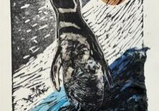 Preston Lawing 56 & 520 600px