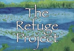 Album cover image of CD The Refuge Project by John Paulson Big Band.