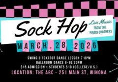Sock Hop 600px