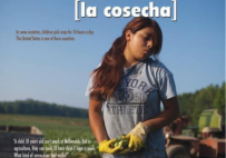 Film poster for The Harvest - La Cosecha.