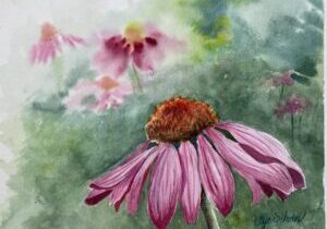 Watercolor painting of pink coneflowers (echinacea) by Faye Schoen.